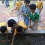 Swachh Bharat Abhiyan, sanskar,gurukulbhopal,bhopal gurukul, gurukul,asharamji bapu, hindu school,